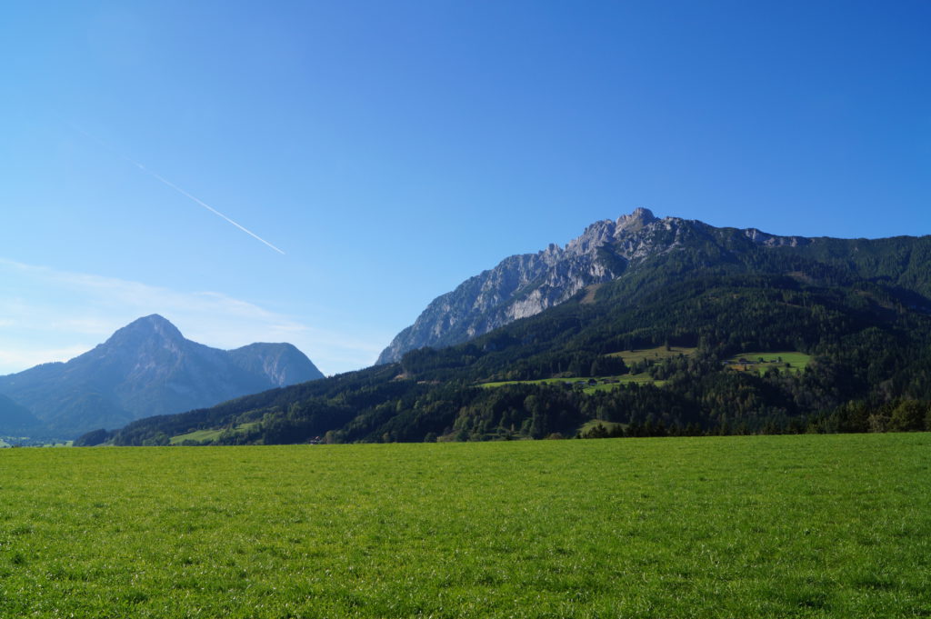 Stoderzinken und Kamm